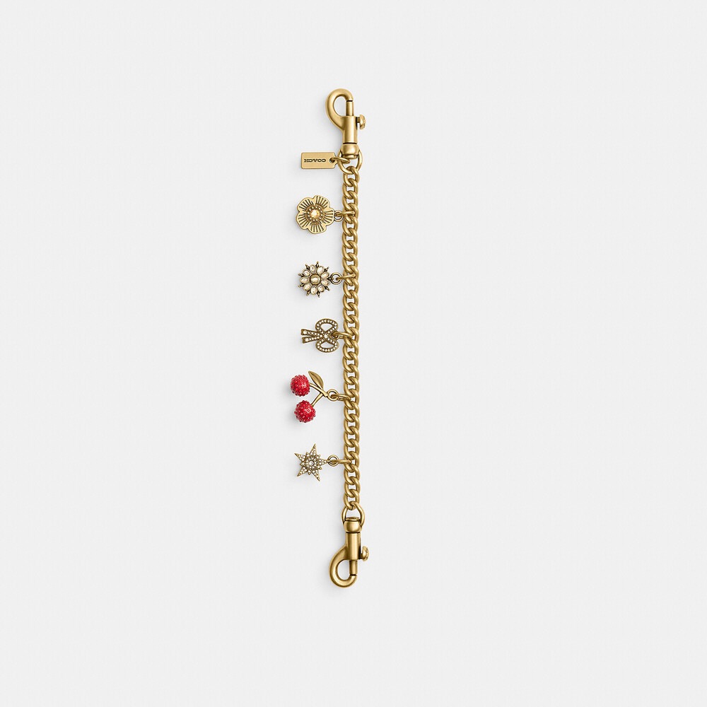 Coach Outlet Crystal Motif Chain Bag Charm